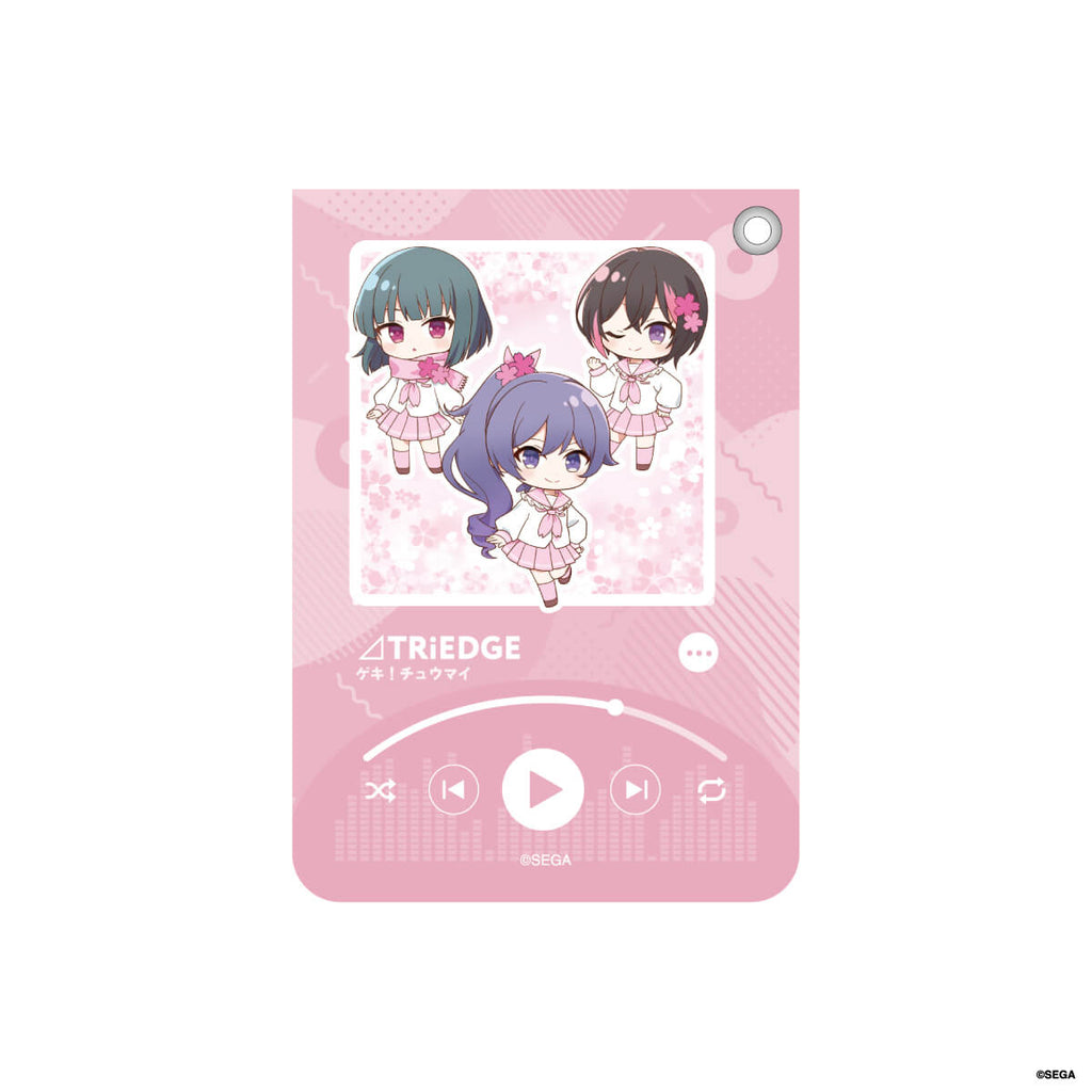 オンゲキ】 レザーパスケース（TRiEDGE） – animeshi